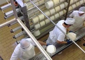 Dehesa de Los Llanos producirá 19.000 piezas más de queso tras ser considerado el mejor del mundo