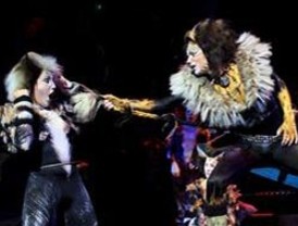 'Slumdog Millionaire' recibe buenas críticas