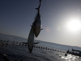 El Gobierno del Estado de México obtiene calificación de alta calidad crediticia informó Murrieta Cummings