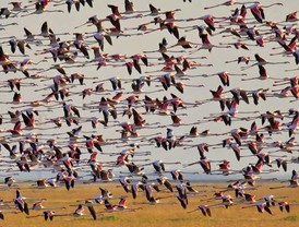 Deje su opinión: ¿Cree que se deben pagar rescates en los secuestros terroristas?