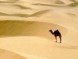 Reencuentro crítico