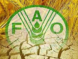 FAO reporta que mejora la seguridad alimentaria en el sur de Sudán