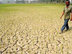 Preso ex canciller cubano Felipe Pérez Roque
