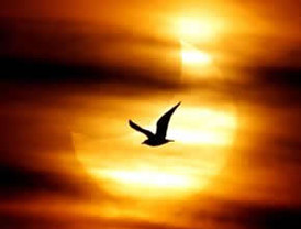 La izquierda pierde a su pensador más comprometido: fallece José Saramago