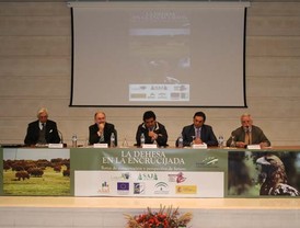 Apple hace la mayor remodelación de su historia en sus iPod