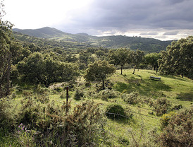 ¿Socialismo en el siglo XXI?