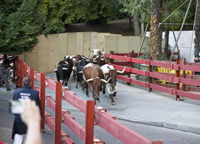 Un herido por asta de toro con una cornada de 15 centímetros en el glúteo en Guadalajara