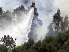 Fiscalía General afirma que HRW ha perdido su misión y se ocupa de atacar a Venezuela