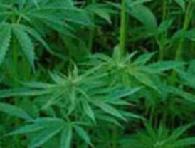 Mäs de 2.000 agricultores y ganaderos navarros asisten hoy a la manifestación convocada en Madrid