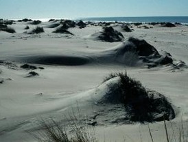 Aguilar insta a 'la colaboración y cooperación' para resolver el deslinde del litoral de Doñana