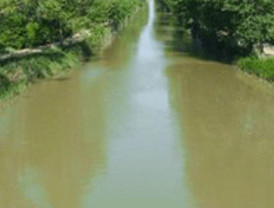 Tuenti estrena páginas en abierto