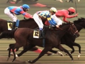 Los bancos, las cajas y el regulador