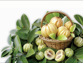 Fallece Andrés Montes apenas un mes después de despedirse de la audiencia