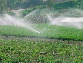 El estado de la Justicia de la nación