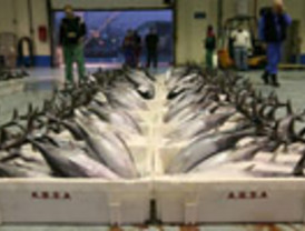 La derrota del golpista-caudillo