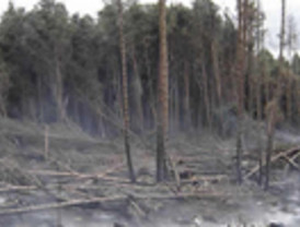 ¿Sirvió para algo la presencia de los grandes líderes europeos en Oriente Próximo?