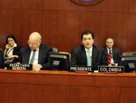 Insulza a nombre de la OEA solicita que la sentencia contra Quiroga sea revisada