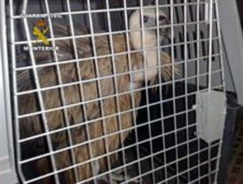 El Tri cuesta 114 millones de dólares a nuestro país