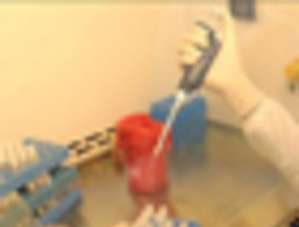 Uruguay elige su presidente