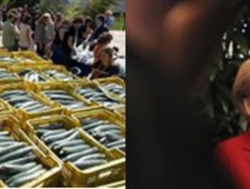 Arenas cree 'una vergüenza' que Andalucía se use como 'moneda de cambio' en las primarias del PSOE