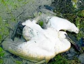 Revilla la 'armó' como cada año