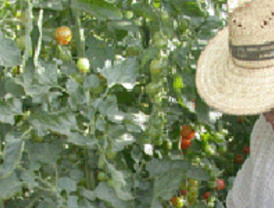 Nuevo mazazo a ETA: dos responsables del aparato de información caen en París