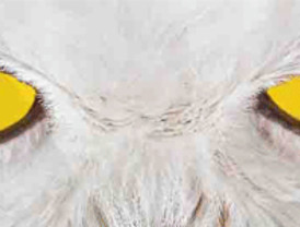 El déficit del Estado se reduce a la mitad por los ingresos de IVA y un menor gasto