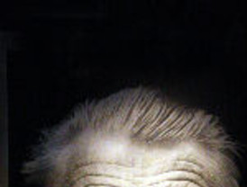 Venezuela habría comprado armas para Bolivia