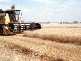 Unas elecciones diferentes