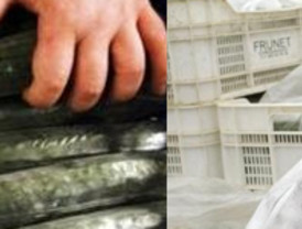 Elsa Pataky regresa a España para apoyar la lucha contra el cáncer