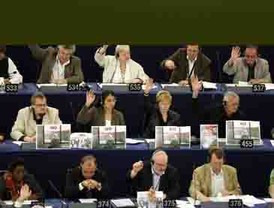 Midnigth Rose. Mucha fachada para tan poca consistencia