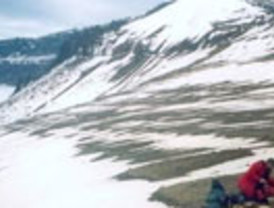 La policía arresta a 31.000 personas en cuatro horas