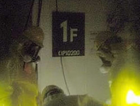 Alemania propone crear “los Estados Unidos de Europa”