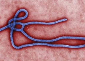 Sanidad teme un segundo caso aún no confirmado: otra enfermera que atendió a los misioneros fallecidos por el ébola