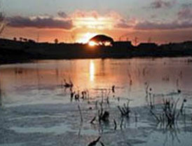 Las 'ansiadas' vacunas de gripe A ya están en España