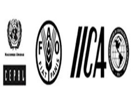 La educación está primero