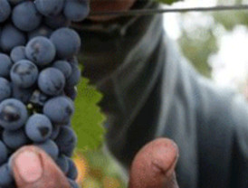 La afiliación de extranjeros a la Seguridad Social cae en noviembre el 1,78%