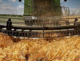 Microsoft y Google pagarán 25 mdd a Twitter por buscar en su portal