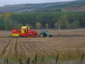 García se lava las manos ante alza de precios