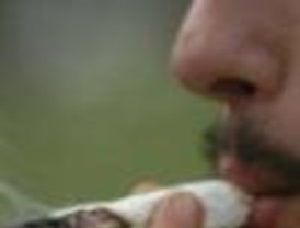 Piden la despenalización del consumo de marihuana