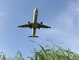 Morales insinua responsabilidad de EEUU en golpe de Honduras