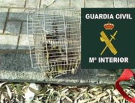 Tráfico prevé 1,2 millones de desplazamientos en CyL