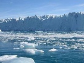 Sin cifras oficiales no hay asesinatos