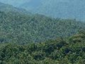 Gallardón, ¿al Elíseo?