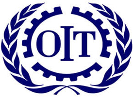 OMS cambia el nombre a la gripe porcina por el de gripe AH1N1