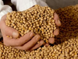 Iberdrola ganó 458,2 millones hasta marzo, un 13,6% más