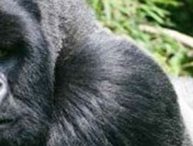 Estudiantes se mantendrán en la calle