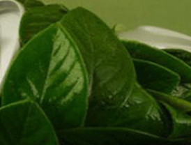 Al menos 12 muertos y 181 familias afectadas por las lluvias en Ecuador