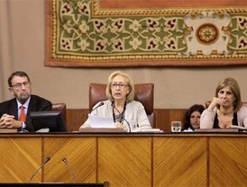 Inadmisible la llamada, “ley Arizona”, senador Villarreal