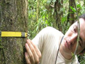 Ecuador ha perdido 1,2 millones de hectáreas de bosques